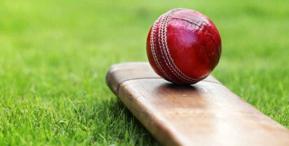 Cricket World Cup